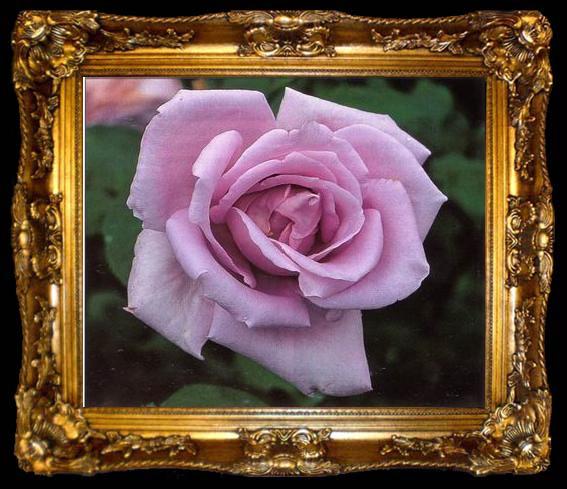 framed  unknow artist Still life floral, all kinds of reality flowers oil painting  272, ta009-2